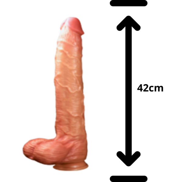 YQM 020LEl Ricky